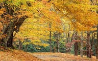 maisema landscape syksy autumn - kostenlos png