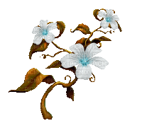 mavi çiçekler.15.kasım.ub - Bezmaksas animēts GIF