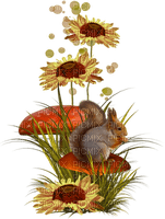 Kathleen Reynolds Flowers Deco Autumn Squirrel - zdarma png