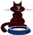 Chat noir - GIF animasi gratis