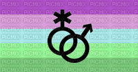 Toric Pride flag with symbol - png gratis