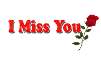 Kaz_Creations Logo Text I Miss You - PNG gratuit