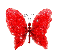 valentine  butterfly by nataliplus - Animovaný GIF zadarmo