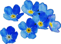 Nieb.kwiaty - ücretsiz png