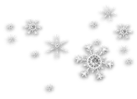 Snowflakes.Black.White.Silver - darmowe png