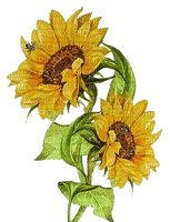 Sunflower.Tournesol.Flowers.Victoriabea - Free PNG