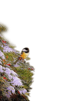 Wintervogel - PNG gratuit
