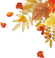 Autumn leaves. Leila - Free PNG