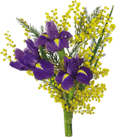 minou-blomsterbukett-flower bouquet-flower-yellow-purple - 無料png
