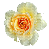 trandafir - δωρεάν png