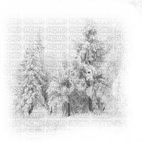kikkapink winter background transparent