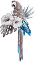 soave deco summer bird tropical parrot flowers - 無料png