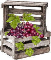 box of red  grapes - png ฟรี