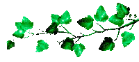 Leaves - Zdarma animovaný GIF