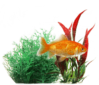 Kaz_Creations Fish-Plant - gratis png