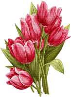 Tulips  Bb2 - бесплатно png