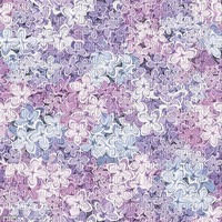 Background Lilac - PNG gratuit