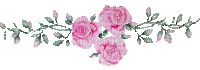 ruže - GIF animé gratuit