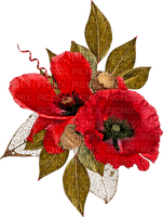 soave deco flowers poppy red green - besplatni png