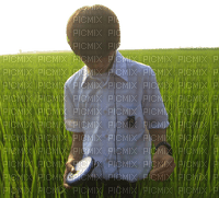 boy in field - png grátis