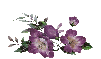 fleur violette.Cheyenne63 - Бесплатни анимирани ГИФ