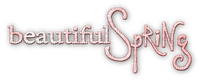 soave text beautiful spring pink - zadarmo png