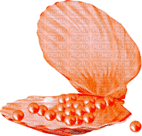 Seashell.Pearls.Orange - 免费PNG