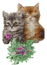 adorables chats - Gratis animeret GIF