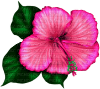 Tropical.Flower.Pink - zdarma png