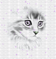 joli dessin de chat - GIF animé gratuit