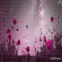 dolceluna poppy poppies field animated background - Δωρεάν κινούμενο GIF