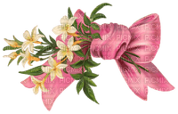 Blumen Schleife - png gratuito