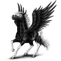Pegasus - PNG gratuit