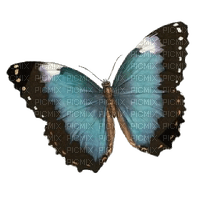 Butterfly - besplatni png
