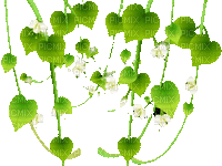 feuilles - Nemokamas animacinis gif