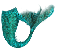 mermaid tail merenneito pyrstö - ilmainen png