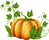 pumpkin by nataliplus - bezmaksas png