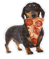 Dog Pizza - GIF animasi gratis