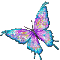 dulcineia8 borboletas - 無料のアニメーション GIF