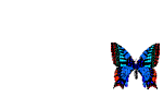 claudia680:blue butterfly - Ingyenes animált GIF