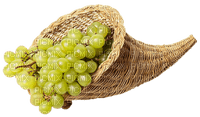 grapes bp - 免费PNG