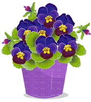 Pansy - kostenlos png