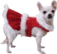 Kaz_Creations Dogs Dog Large  Christmas - png gratis