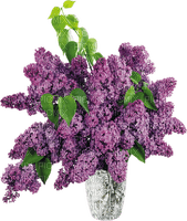 patymirabelle fleurs et vases lilas - png ฟรี