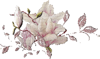 MMarcia gif flores fleurs flowers - GIF animate gratis