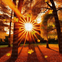Autumn Sunset - Gratis animeret GIF