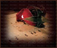 وردة حمراء - Zdarma animovaný GIF