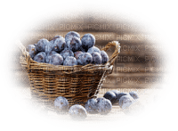 blueberries bp - darmowe png