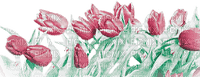 soave deco flowers tulips garden spring border - bezmaksas png