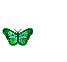 image encre animé effet papillon printemps la nature edited by me - GIF animado gratis